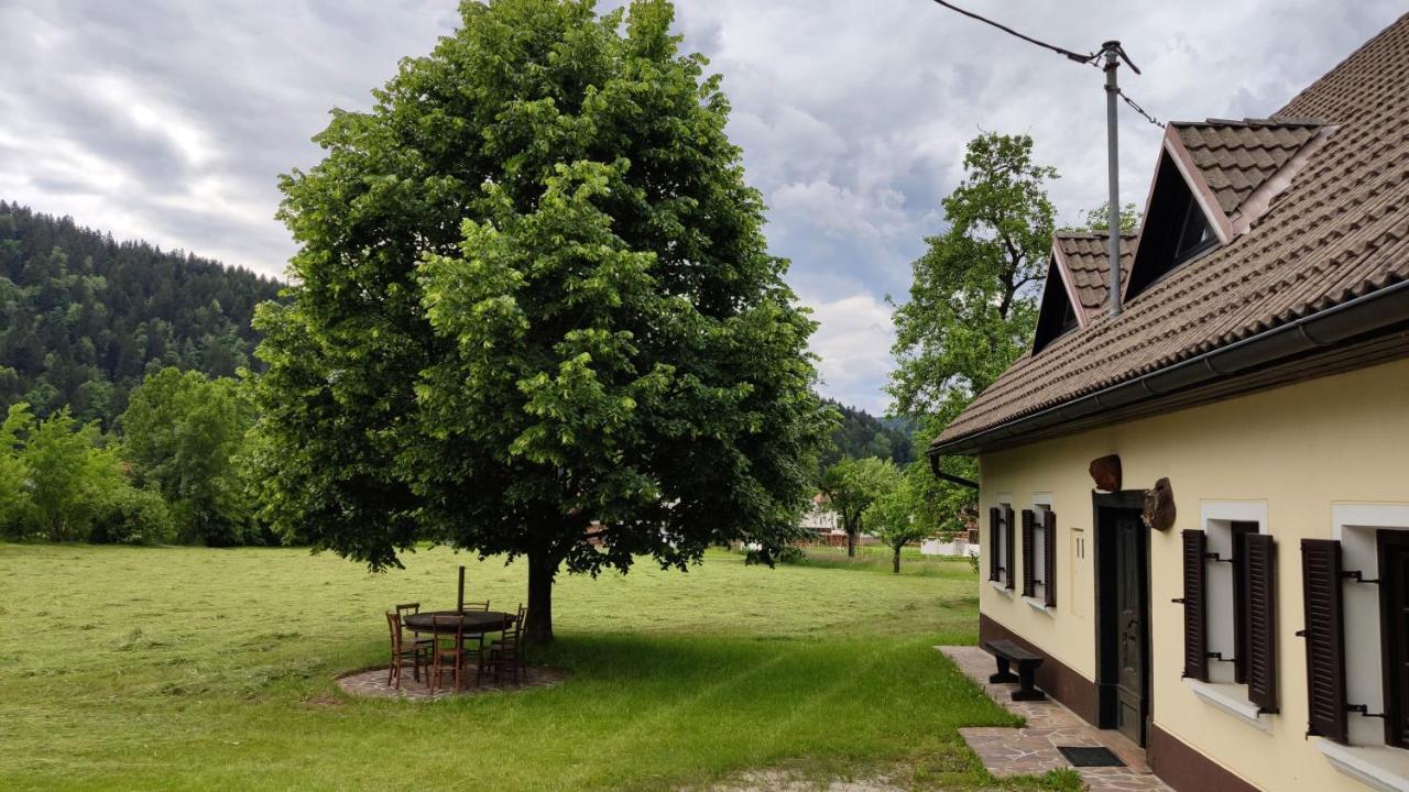 Country House Pri Lipet Ziri Kültér fotó